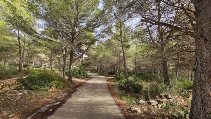 Calpe desclasifica como urbanizables distintos sectores verdes - Ayuntamiento de Calpe