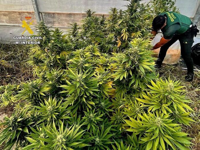 Desmantelados dos puntos de distribución de droga en Callosa d'en Sarrià - Guardia Civil