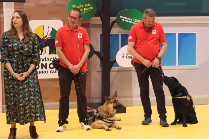 Benidorm acoge una exhibición única de perros guía de la ONCE
