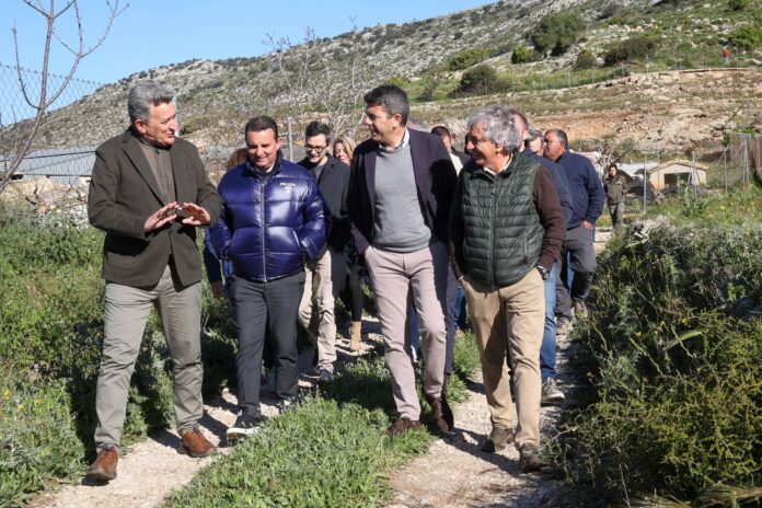 Carlos Mazón visita Tàrbena para impulsar el pastoreo como estrategia de prevención contra incendios