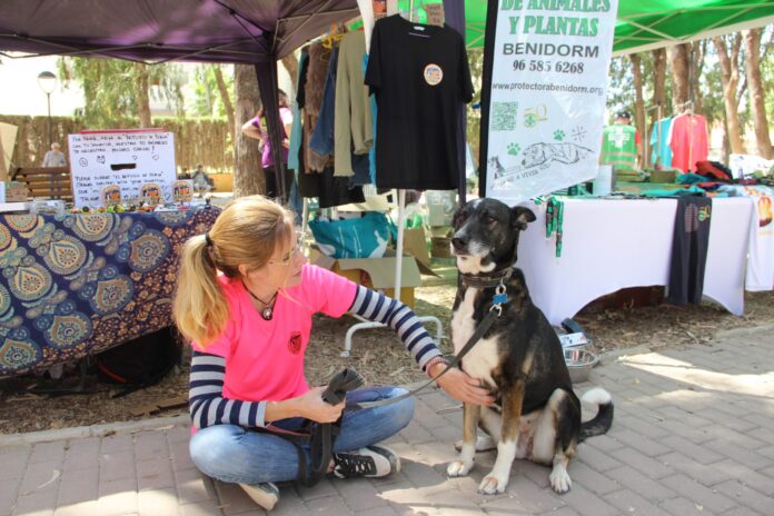 L’Alfàs del Pi celebra este domingo su IX Festival de la Adopción con animales en busca de familia