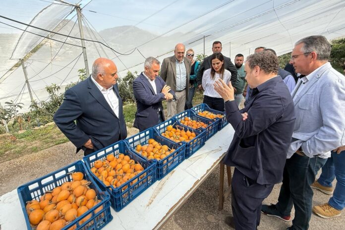 Barrachina refuerza el compromiso con el campo en Callosa d’en Sarrià y presenta un plan de apoyo al regadío