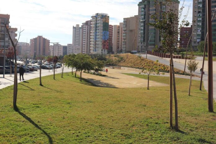 Benidorm decidirá en pleno el lunes la adjudicación del nuevo servicio de Parques y Jardines