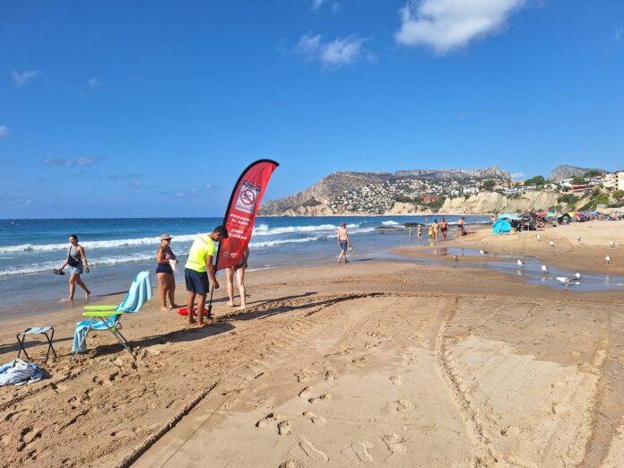 Cierra la playa del Arenal-Bol en Calpe ante un posible episodio de contaminación residual - Ayuntamiento de Calpe