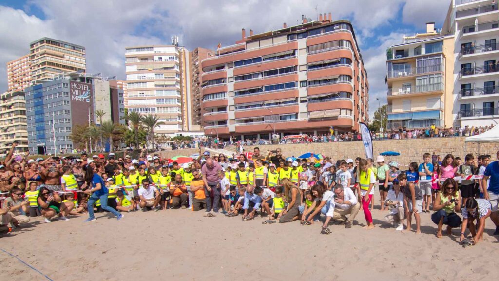 Benidorm devuelve al mar nueve ejemplares de tortuga boba que nacieron hace un año en la playa de Poniente - Ayuntamiento de Benidorm