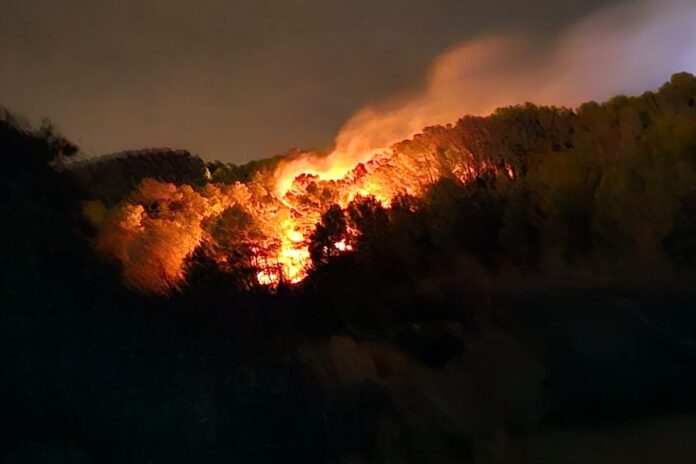 Controlado el incendio en la partida Garduix de Calpe