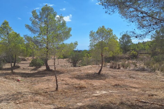 Villajoyosa completa la red de protección forestal en L’Arginet-La Robella