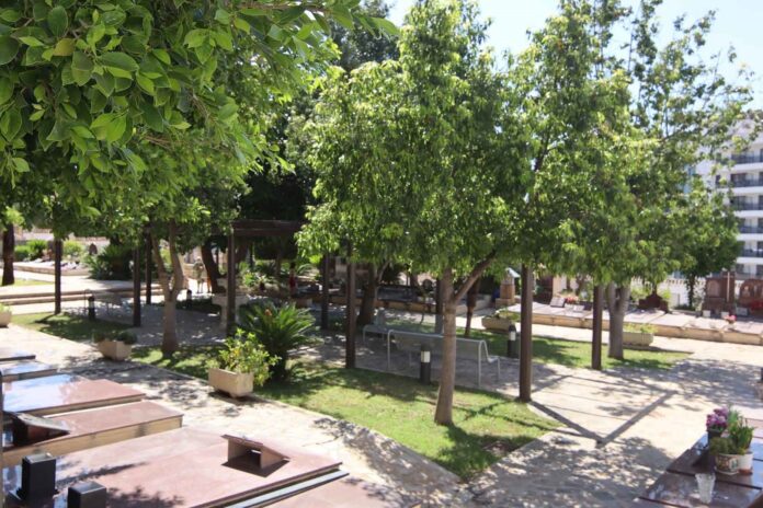 Más de 12.000 plantas renuevan los cementerios y jardineras de Benidorm para el puente de octubre