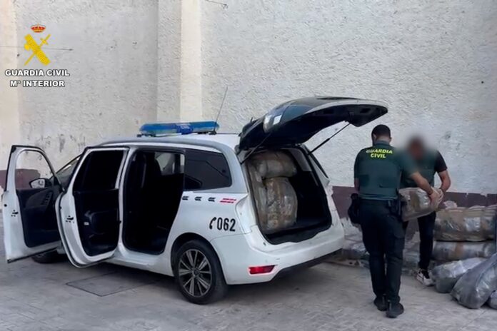 Operación “Watermont”: detenido en Villajoyosa por una plantación de 400 plantas de marihuana