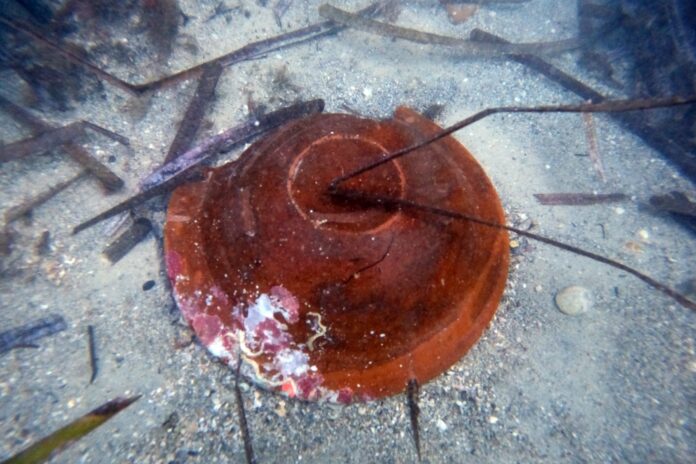 El mar de Villajoyosa revela un nuevo capítulo de su historia con un hallazgo subacuático del siglo XIX