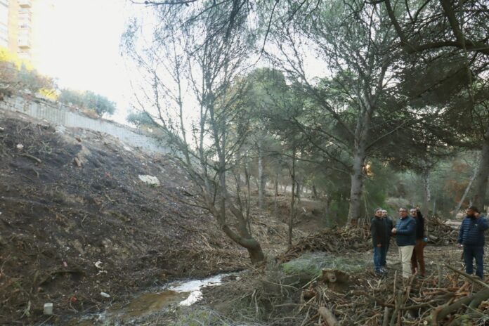Benidorm finaliza el desbroce en El Moralet y abre paso a 3,5 kilómetros de nuevos senderos