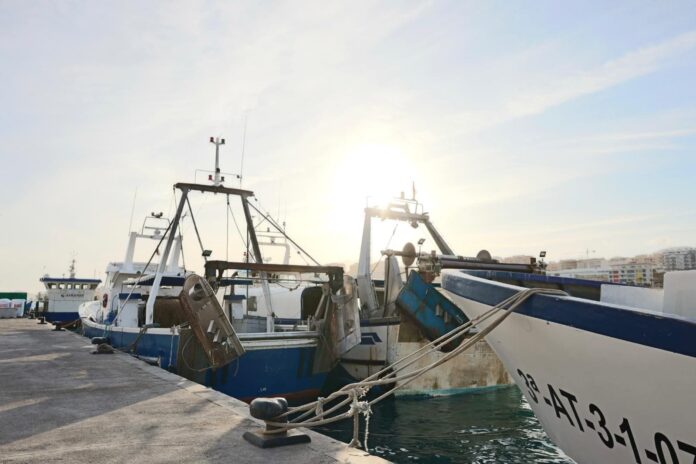 La Cofradía de Villajoyosa denuncia más paro y menos días de pesca en el Mediterráneo en 2026