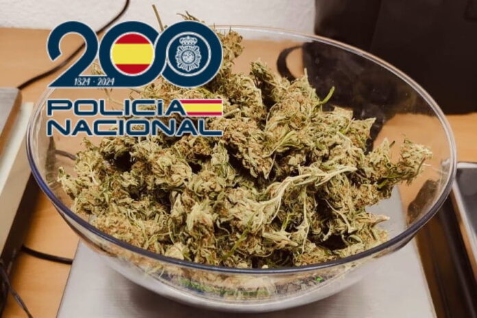 La Policía Nacional localiza cocaína oculta en un vehículo y desmantela un punto de venta en Benidorm