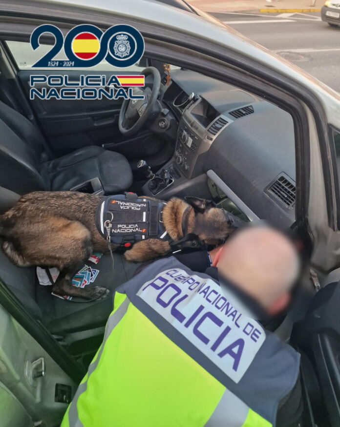 Detenido en Benidorm un hombre que portaba 119 gramos de cocaína/Policía Nacional