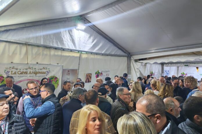 Benidorm brinda por su XV Feria del Vino en la Cava Aragonesa