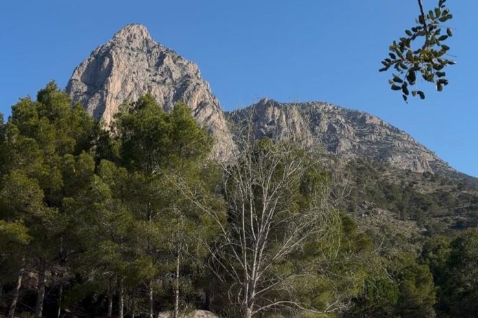 La Font del Molí de Finestrat se convierte en aula natural por el Día Mundial del Medio Ambiente