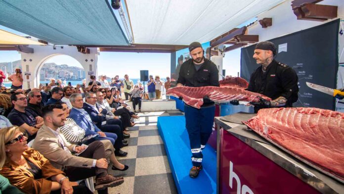Benidorm da el pistoletazo de salida a las VI Jornadas del Atún con un ejemplar de 280 kilos