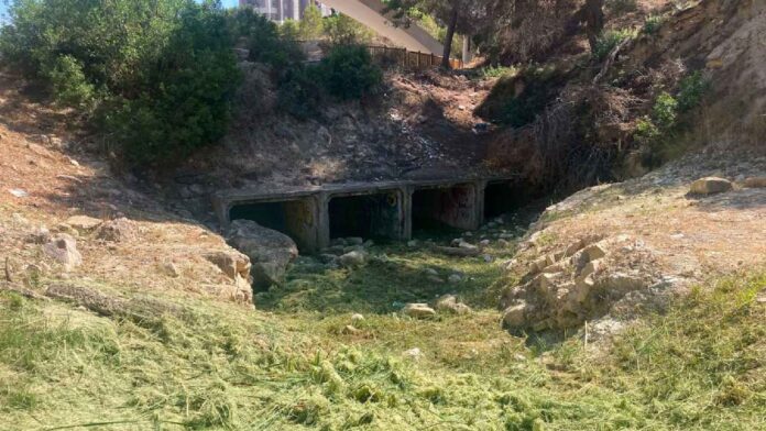 Benidorm culmina la limpieza de sus barrancos ante la llegada del otoño y posibles lluvias torrenciales