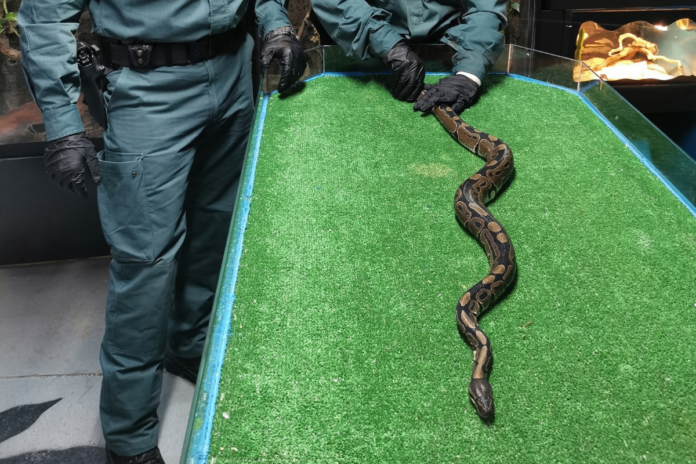 Nuevo paso en conservación: Terra Natura Benidorm se incorpora a la red de rescate CITES para especies protegidas