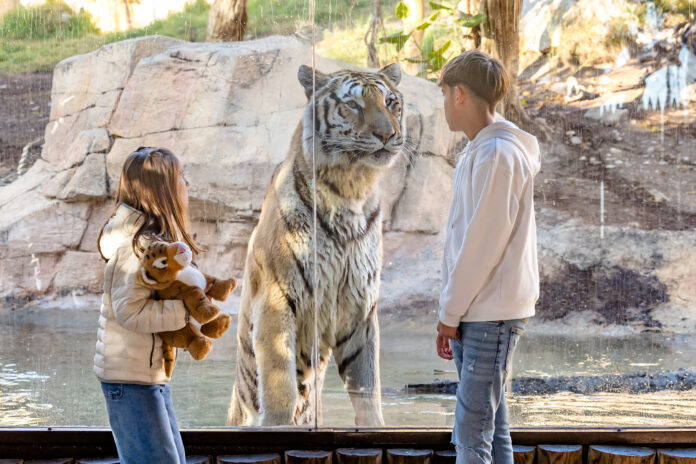 Terra Natura lanza un pase para disfrutar del parque sin límite hasta febrero