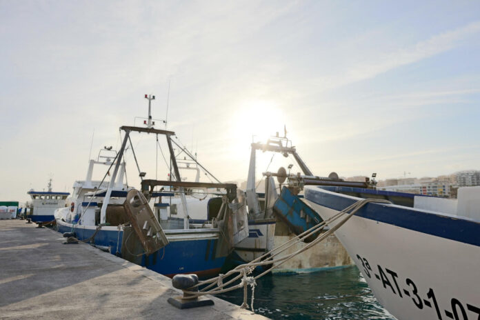 La Cofradía de Pescadores de Villajoyosa alerta de la situación que atraviesa el sector pesquero ante la escalada del precio del gasóleo / Fuente: Cofradía de Pescadores de Villajoyosa