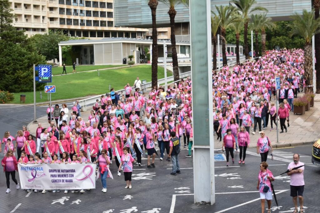 Marcha Solidaria contra el cáncer de Mama / Fuente: Anémona