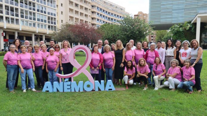 Benidorm calienta motores para la Marcha Solidaria de Anémona con la colocación del lazo rosa / Ayuntamiento de Benidorm